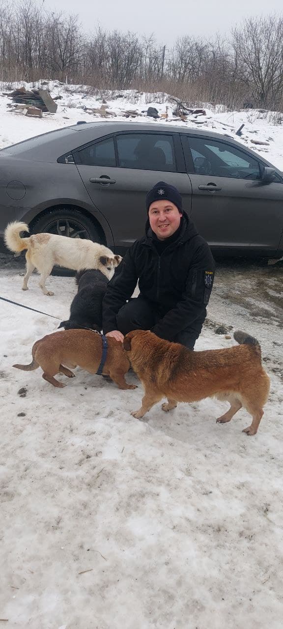 Animal that found a home #6