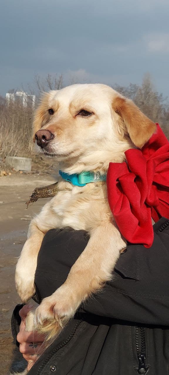 Tier, das ein Zuhause gefunden hat #3