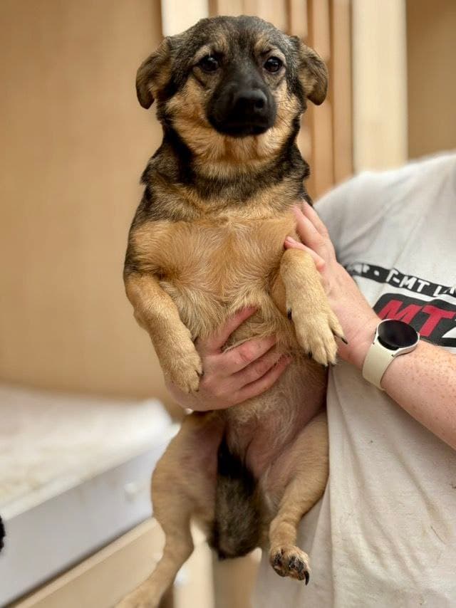 Animal that found a home #3