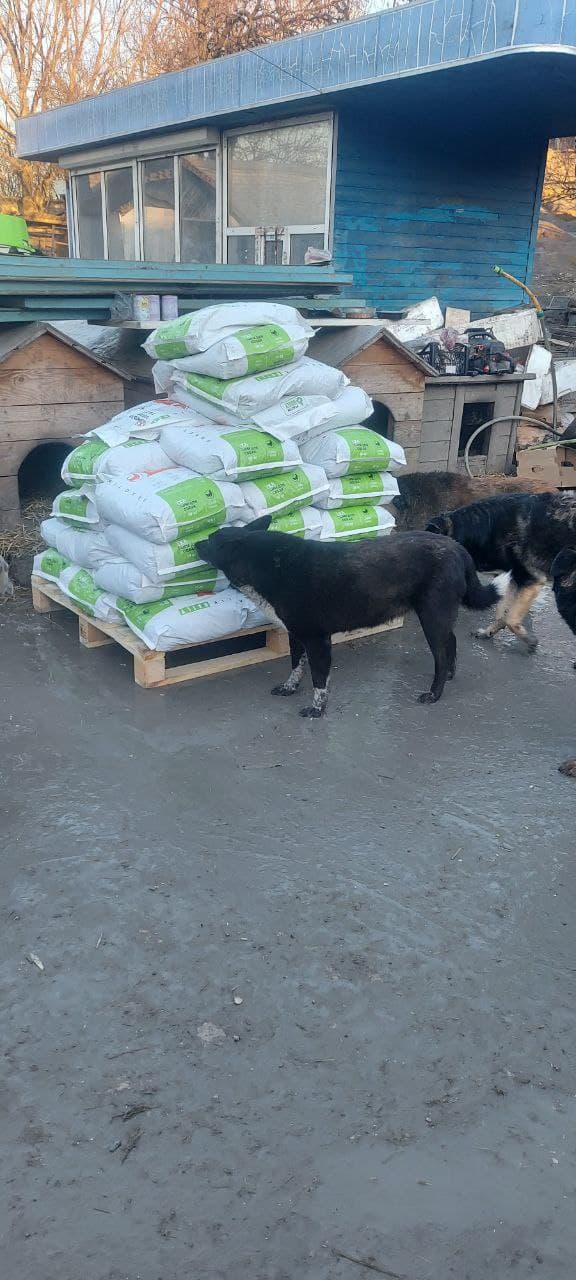 Фото зі зборів притулку SOS #4