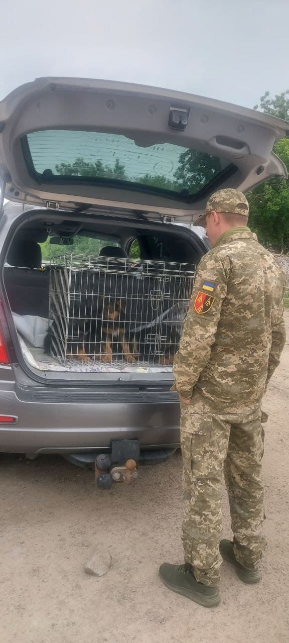 Фото зі зборів притулку SOS #5