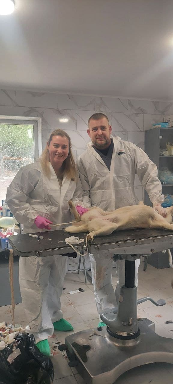 Photo from SOS shelter gathering #6