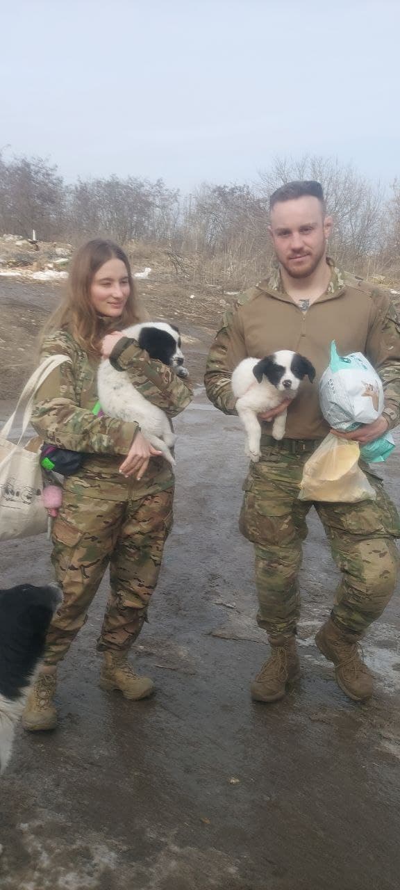 Фото зі зборів притулку SOS #8