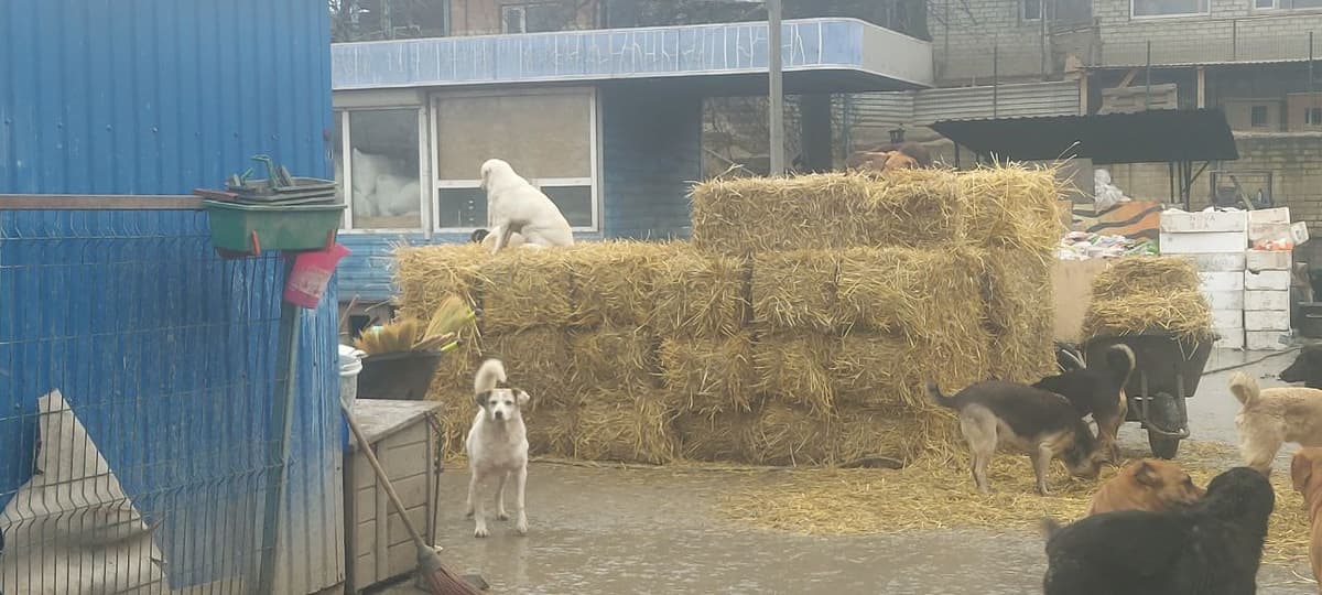 Photo from SOS shelter gathering #1