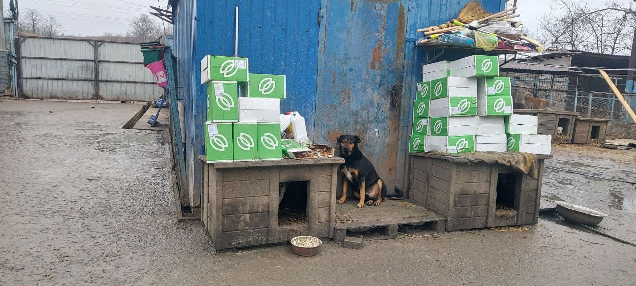 Фото зі зборів притулку SOS #2