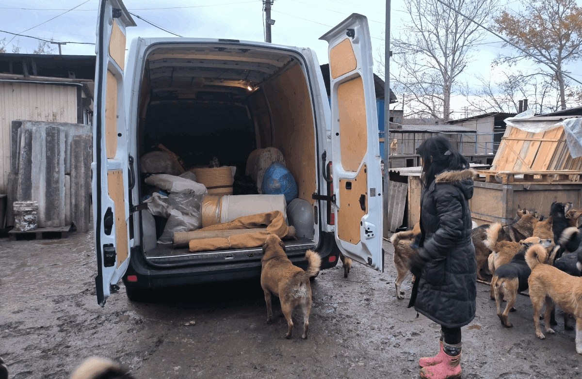 Photo from SOS shelter gathering #3