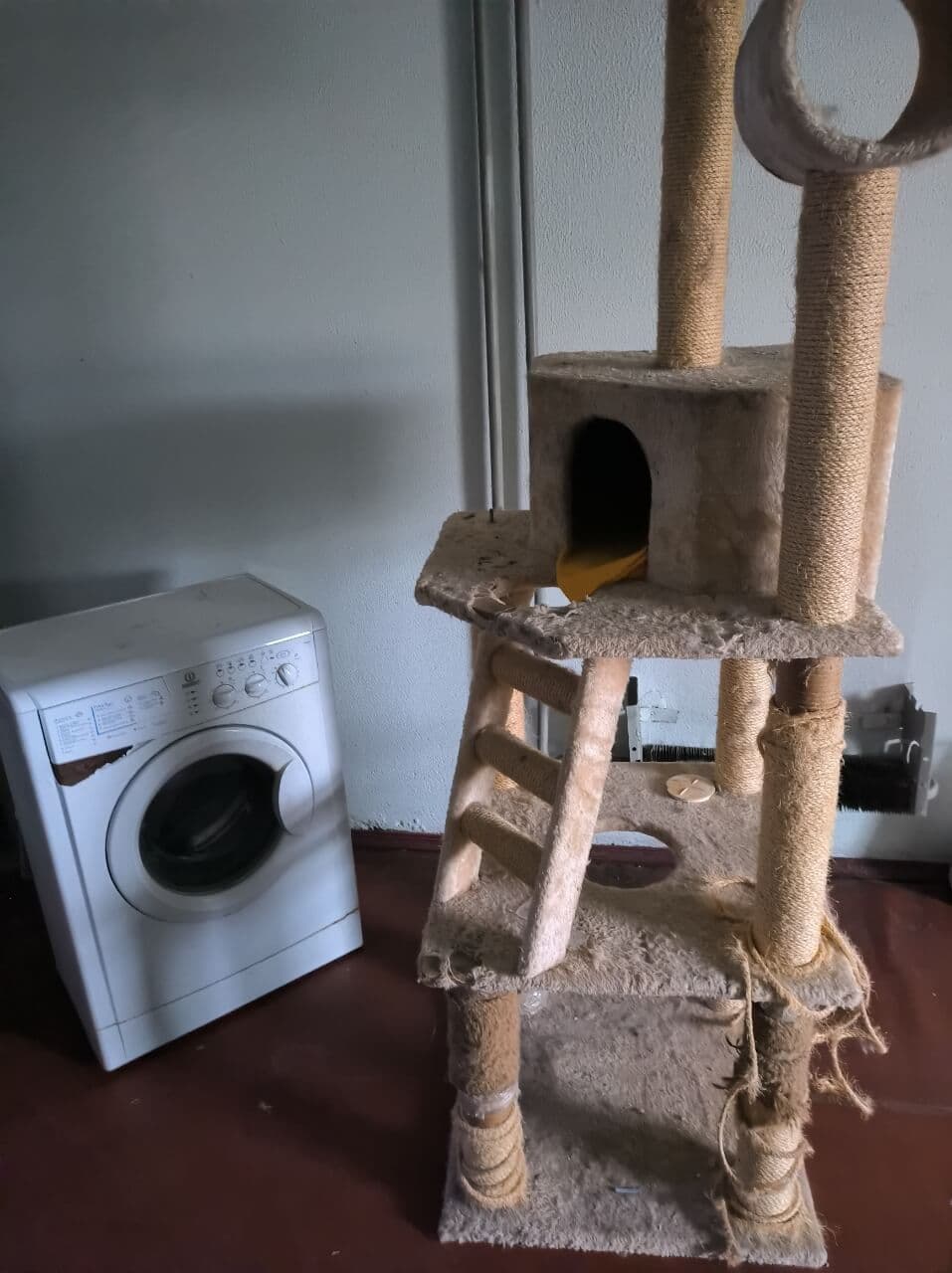 Фото зі зборів притулку SOS #11