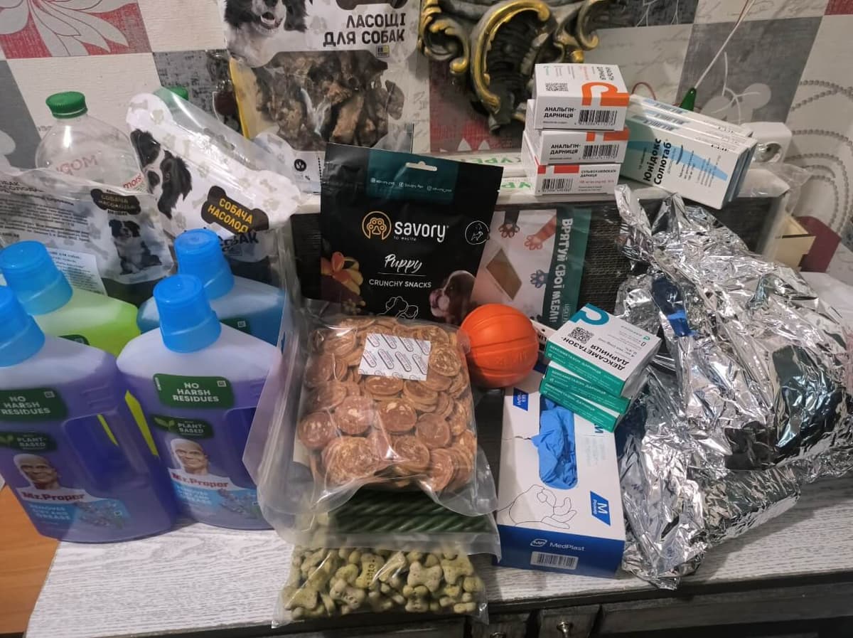 Photo from SOS shelter gathering #16