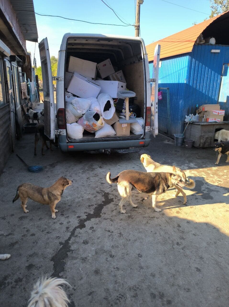 Photo from SOS shelter gathering #24