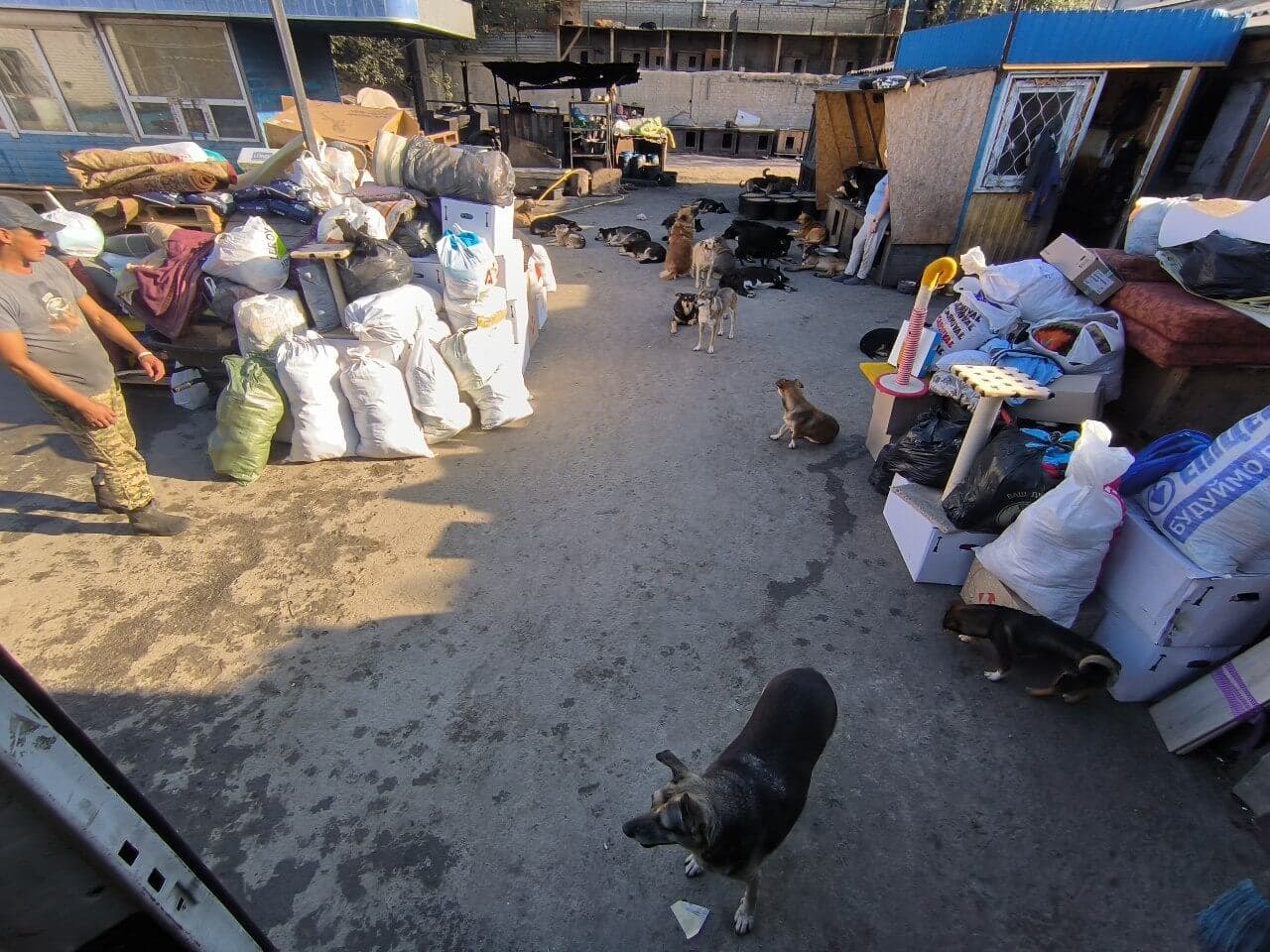 Фото зі зборів притулку SOS #25