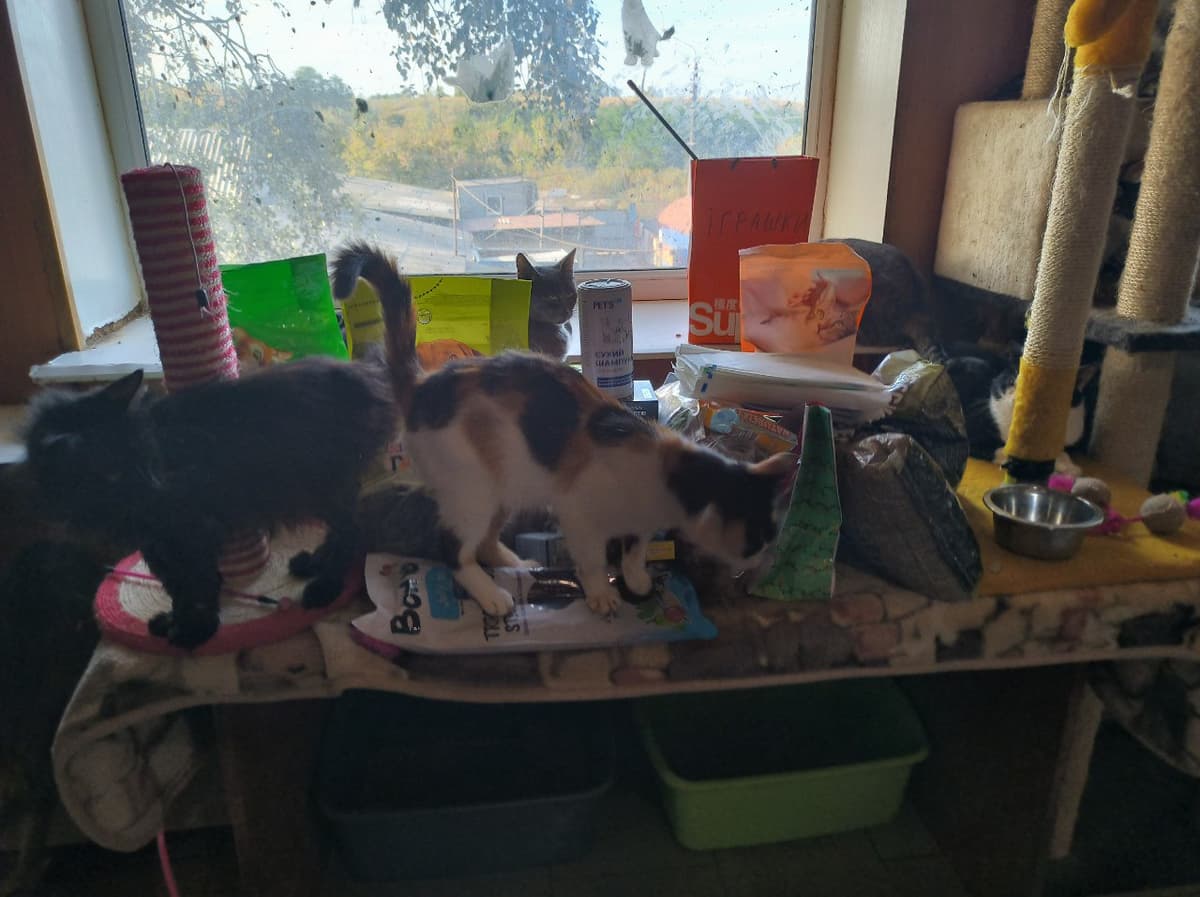 Photo from SOS shelter gathering #26