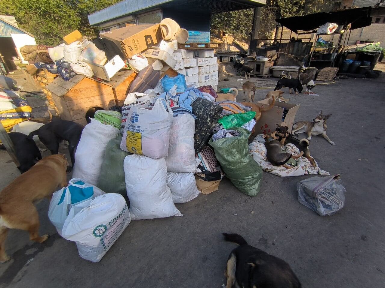 Фото зі зборів притулку SOS #27