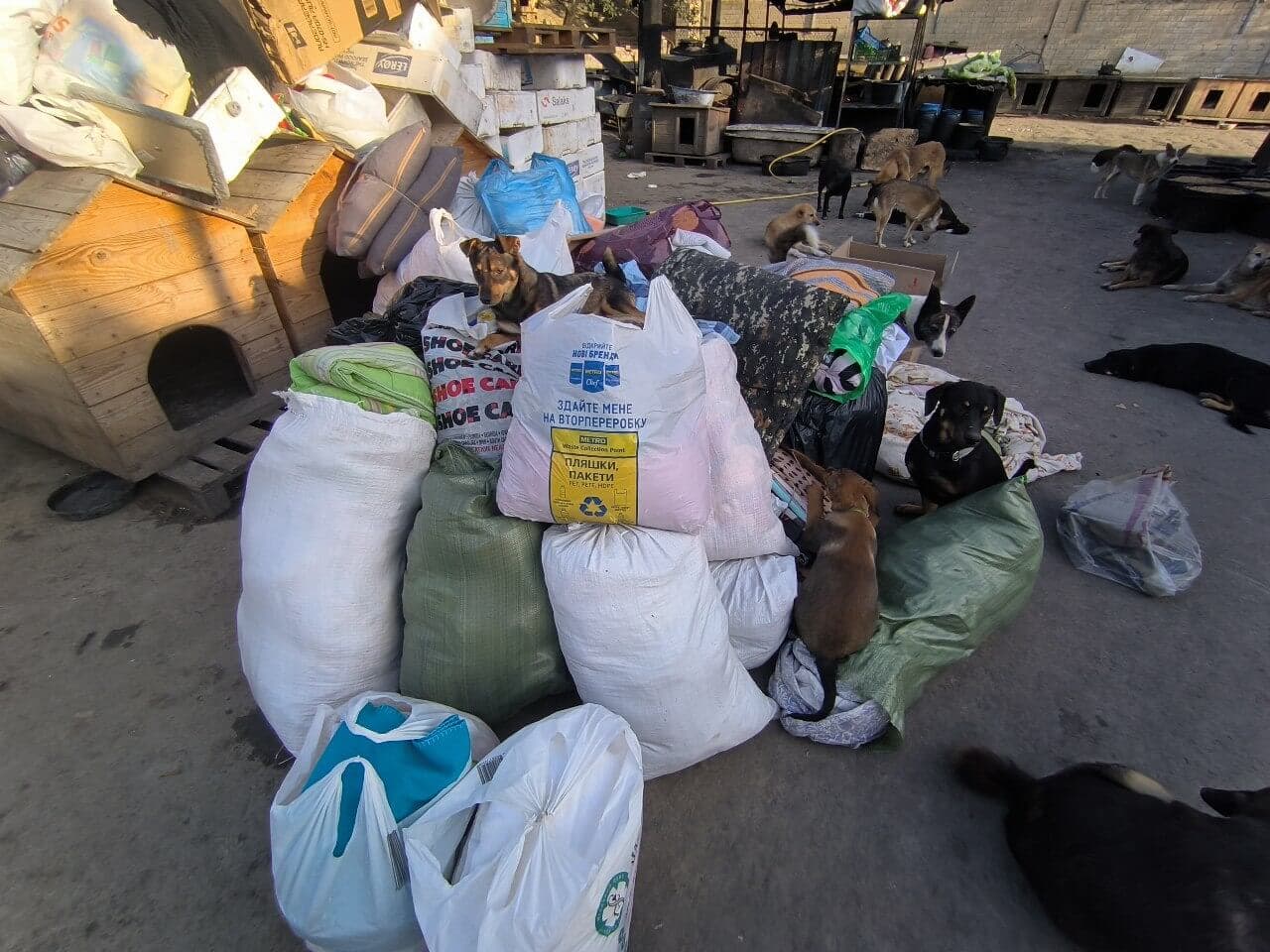 Фото зі зборів притулку SOS #28