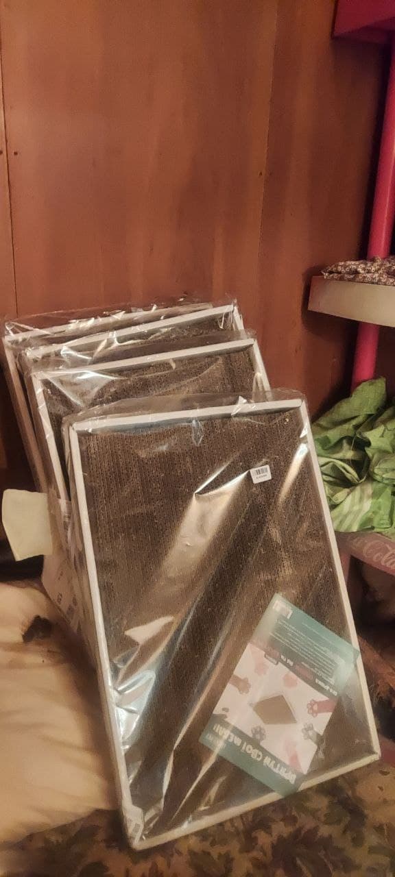 Фото зі зборів притулку SOS #29