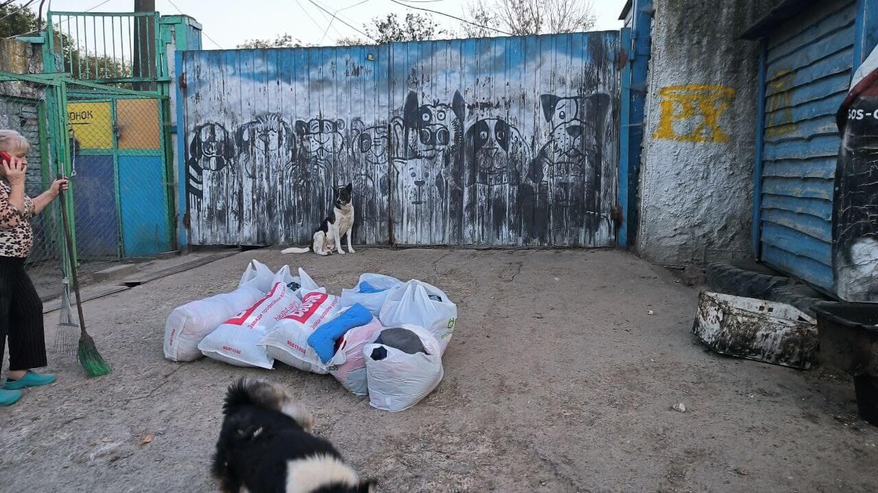 Фото зі зборів притулку SOS #33