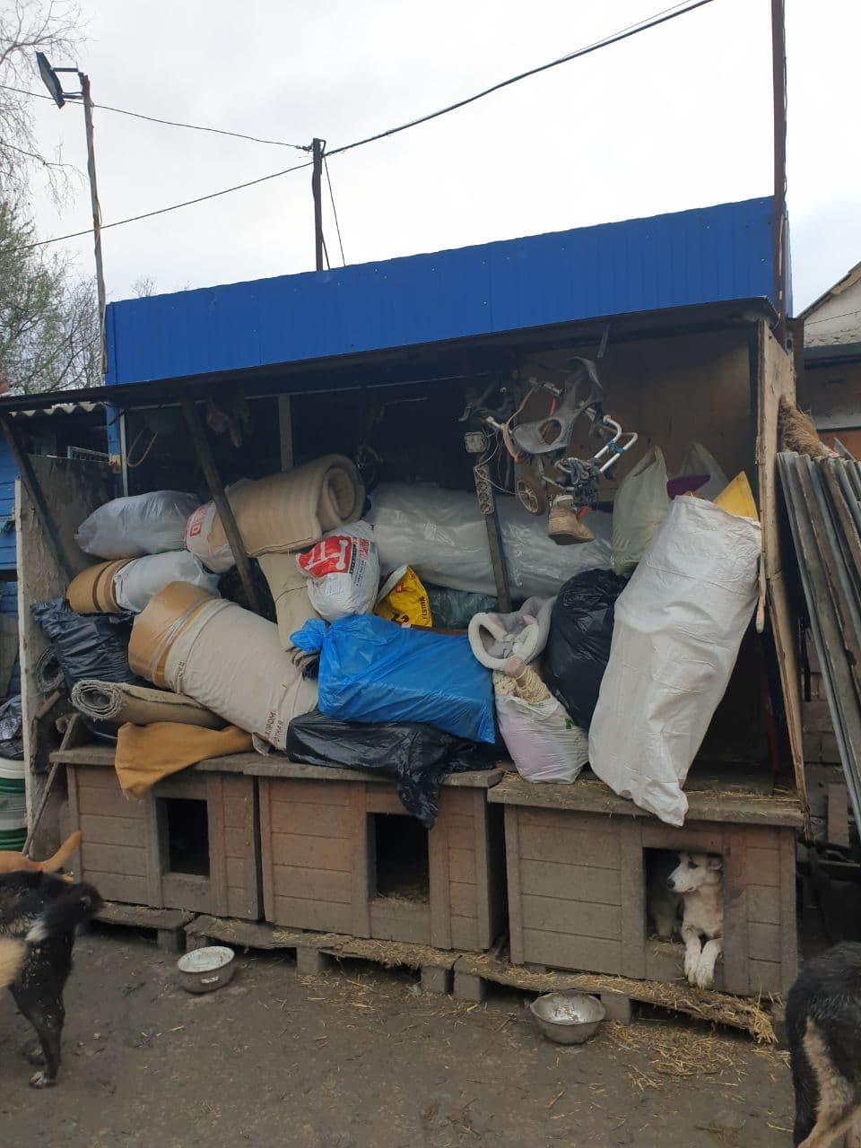 Photo from SOS shelter gathering #38