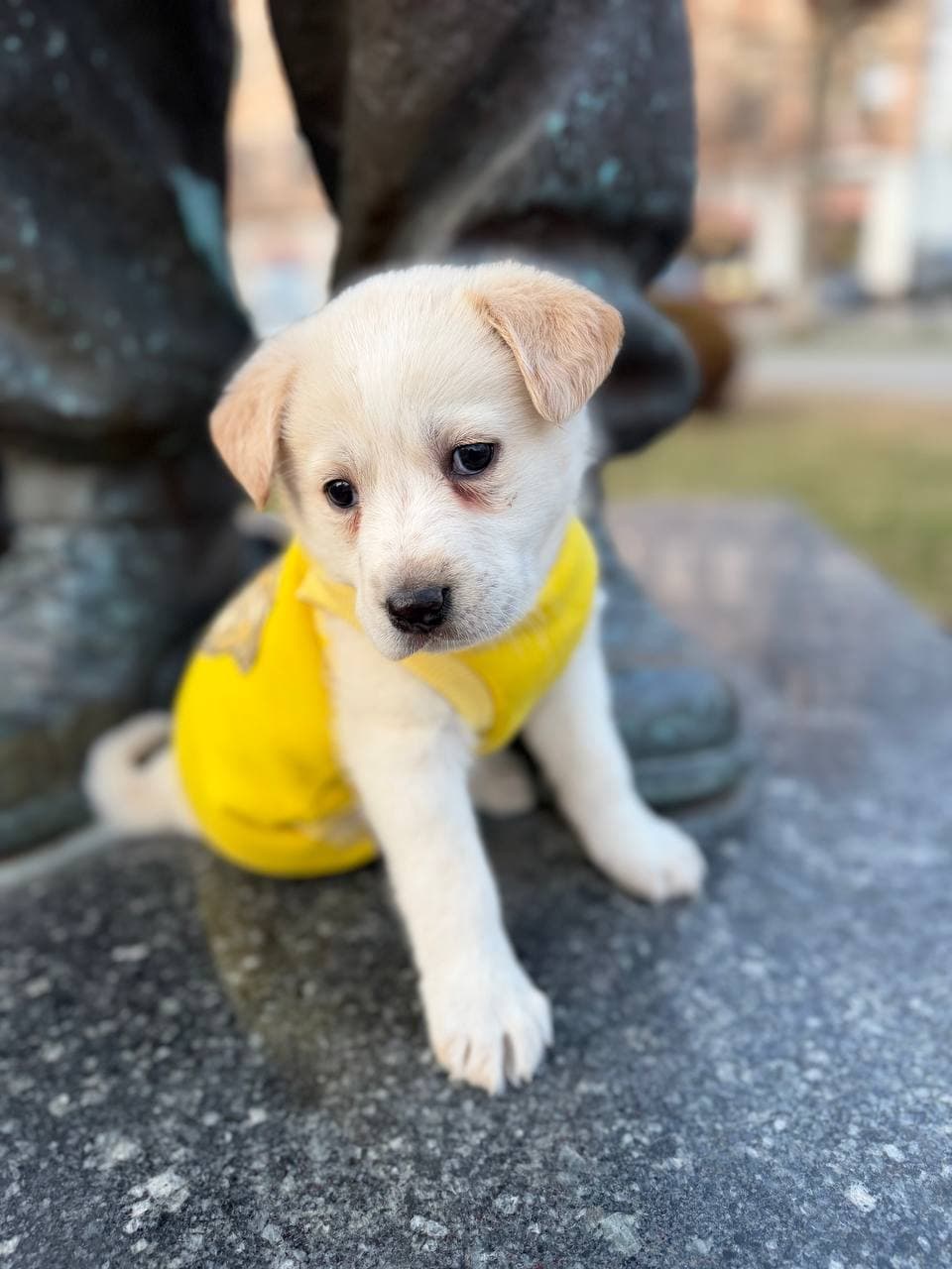 Neuer Bewohner des Tierheims #3