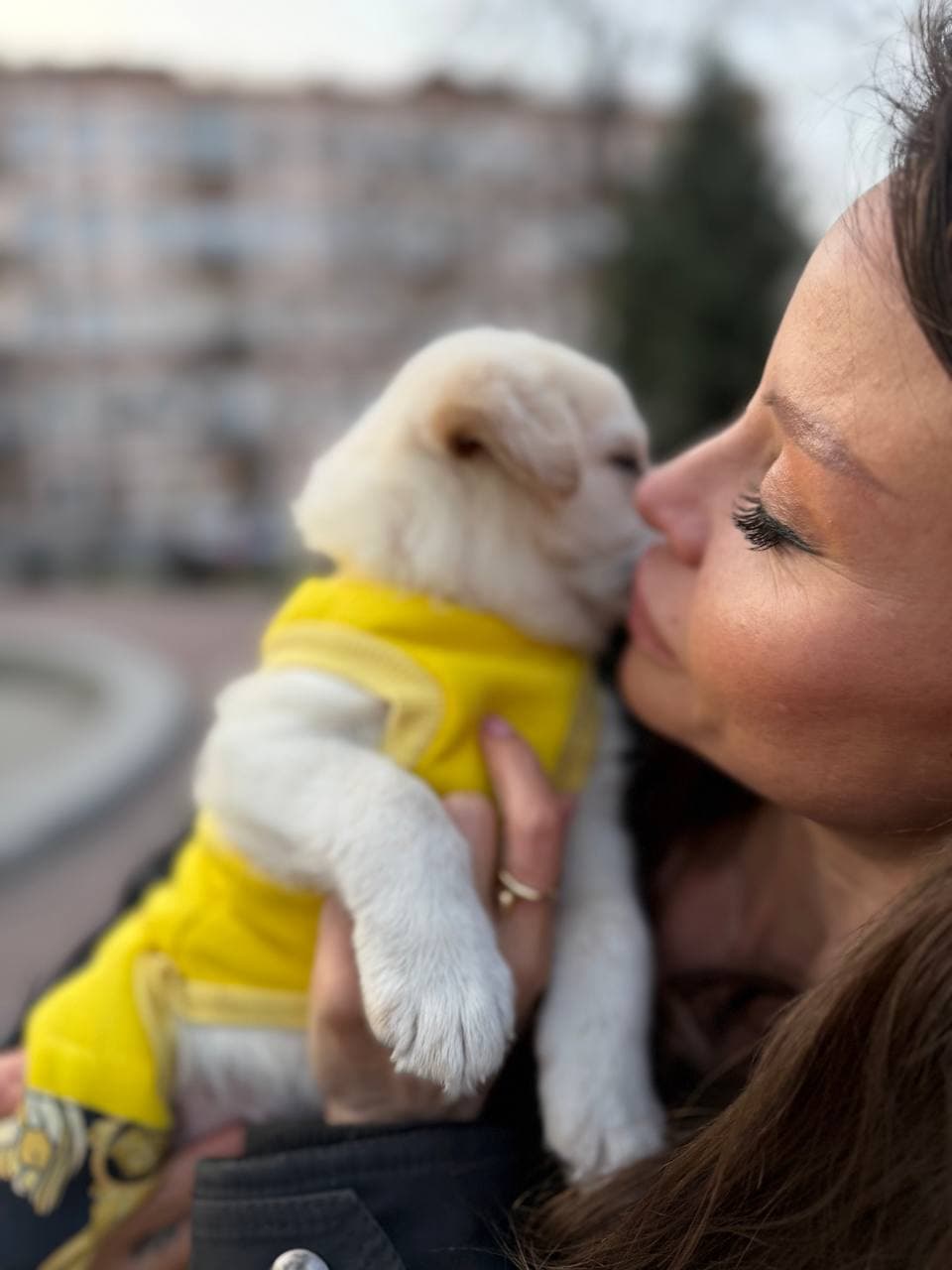 Neuer Bewohner des Tierheims #4