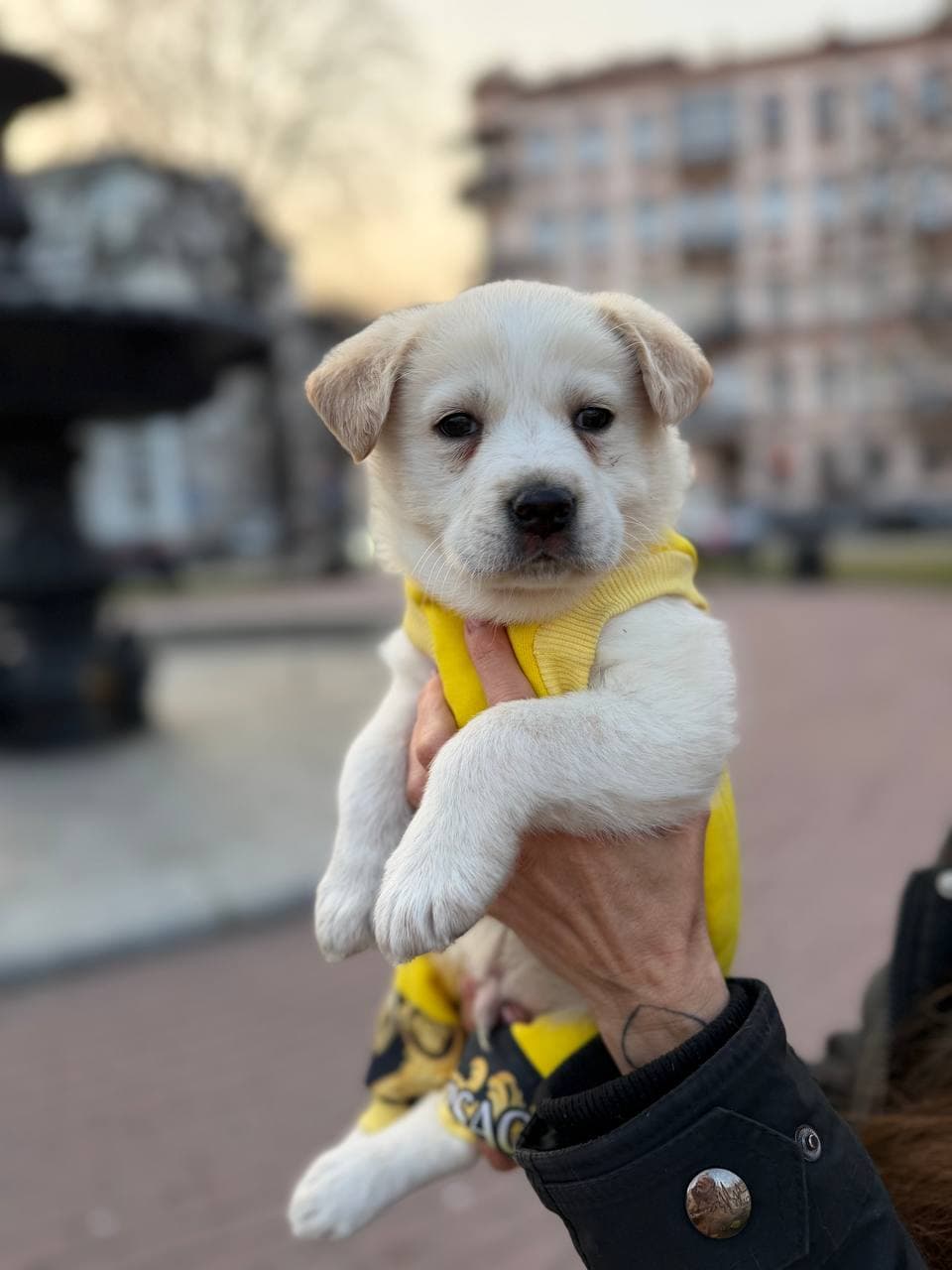 Neuer Bewohner des Tierheims #5