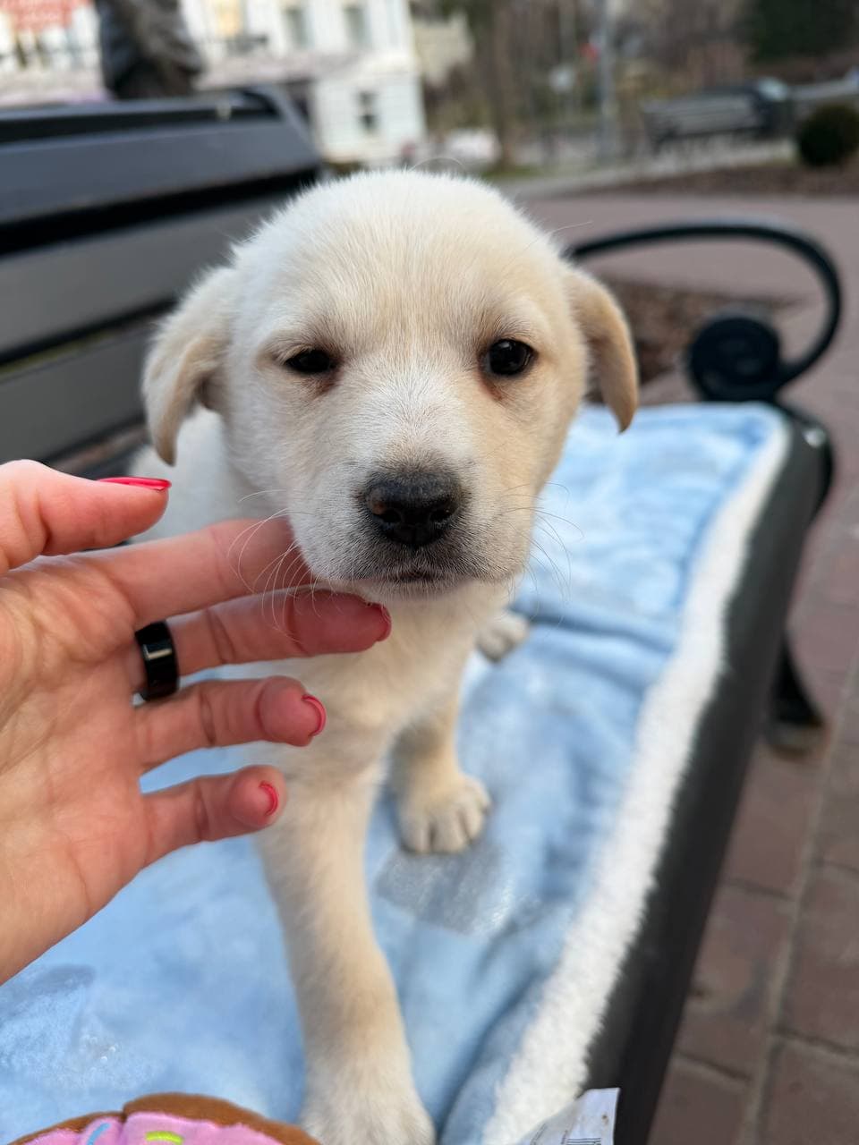 Neuer Bewohner des Tierheims #6