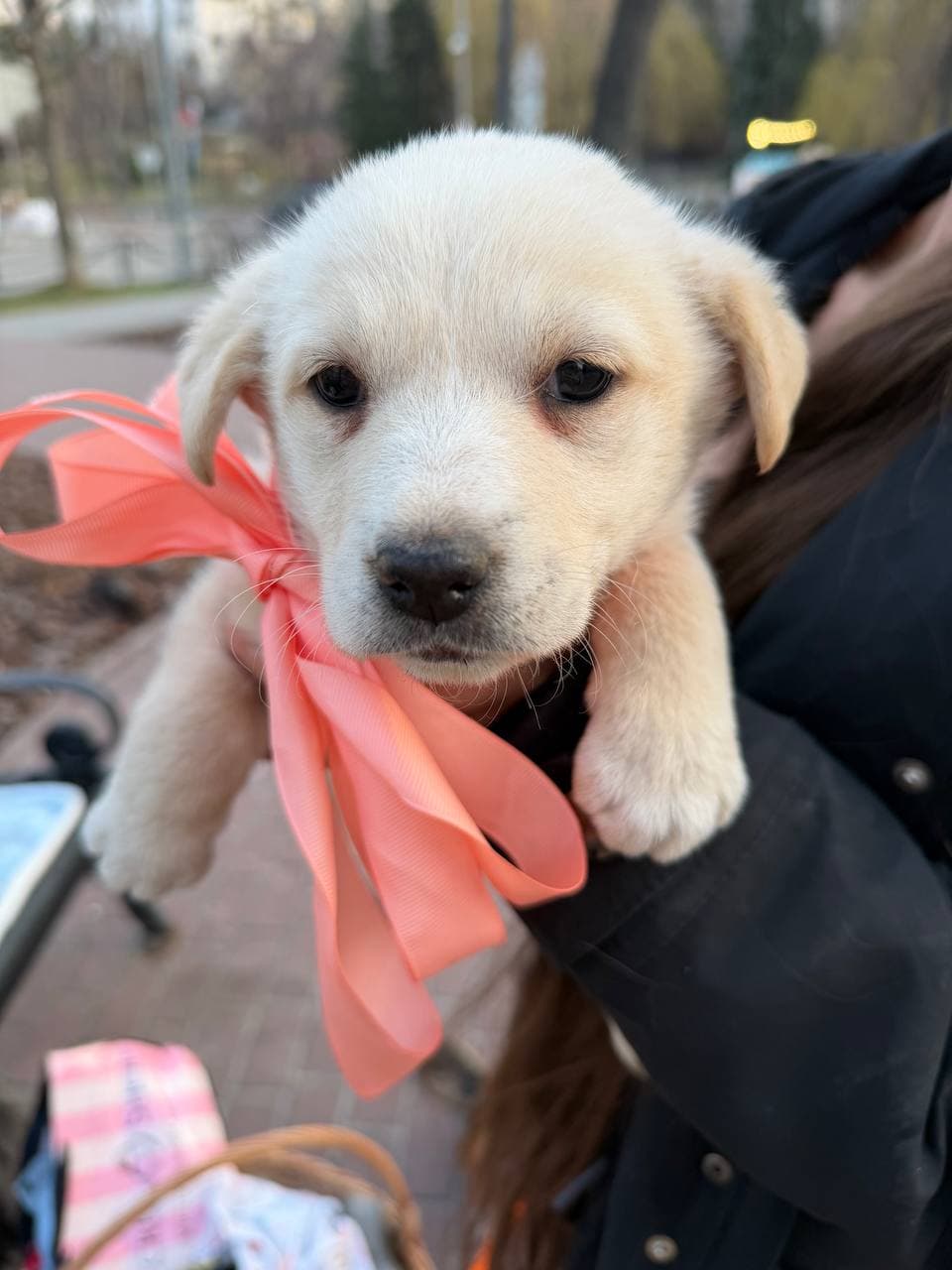 Neuer Bewohner des Tierheims #7